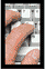 facs3.gif (1300 bytes)