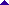 setatopo.gif (818 bytes)